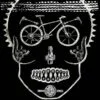 cycology longsleeve shirt one track mind 3