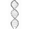 Cycology t-shirt: DNA (navy)