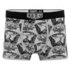 rise and ride cycology boxershort 1