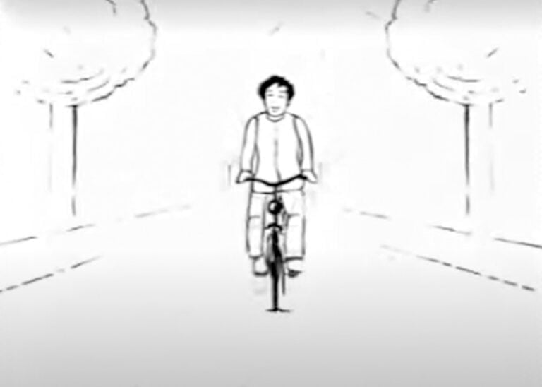 spinvis bagagedrager