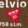 wielerbord passo dello stelvio