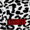 armstukken Kitty Cycology