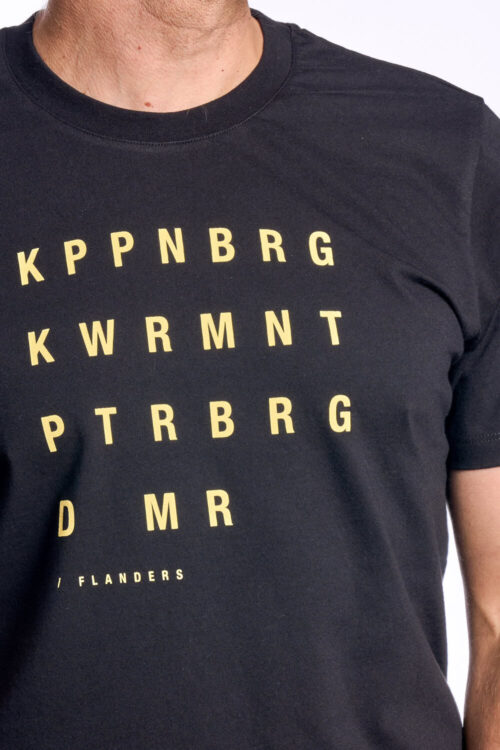 Flanders T shirt The Vandal zwart