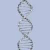 DNA Cycology T shirt blauw